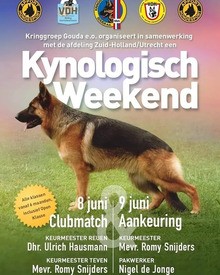 Hier komt een nieuwsbericht